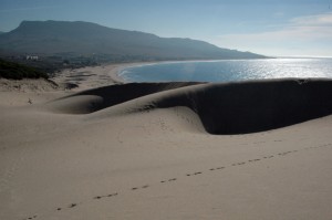 Playa de Bolonia, Tarifa