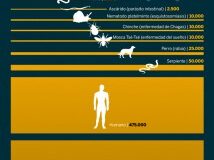 los mosquitos